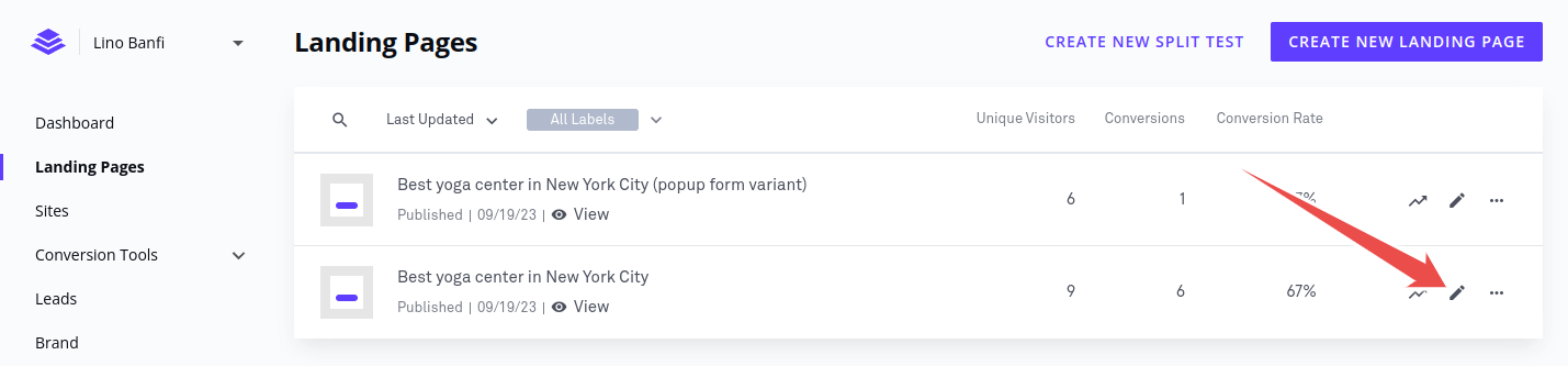Click the "Edit" button within the Leadpages user interface