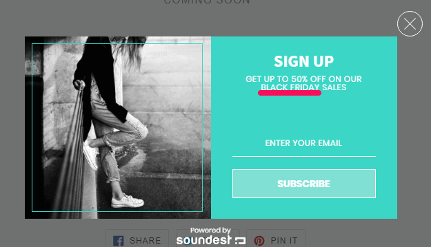 Black Friday Signup Form Example